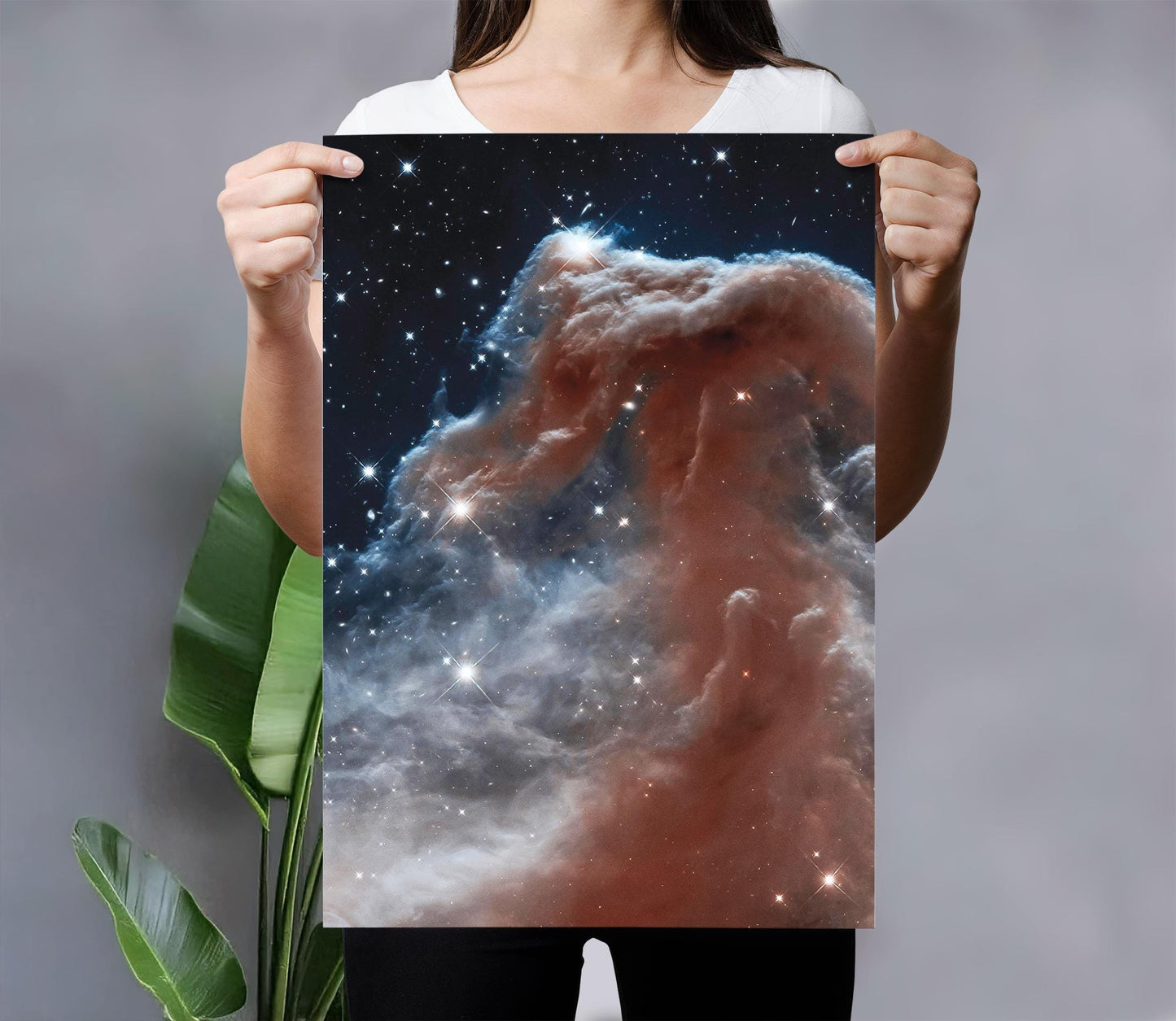 Nasa Poster Horsehead Nebula | Hubble Telescope Poster | Astronomy Wall Art | Space Poster | Universe Poster | IC434 | Barnard 33