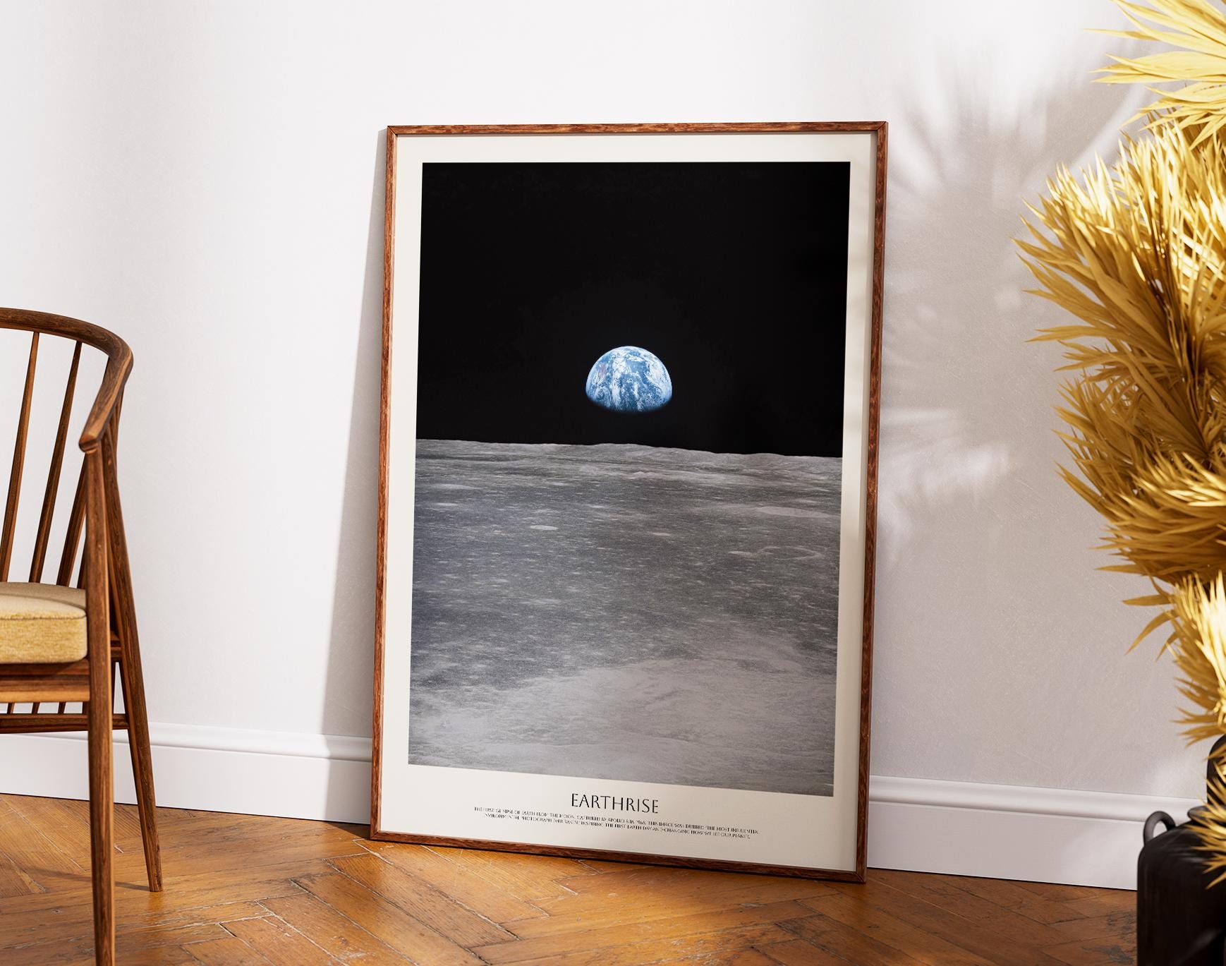 Earthrise NASA Poster: Apollo 8 Moon View
