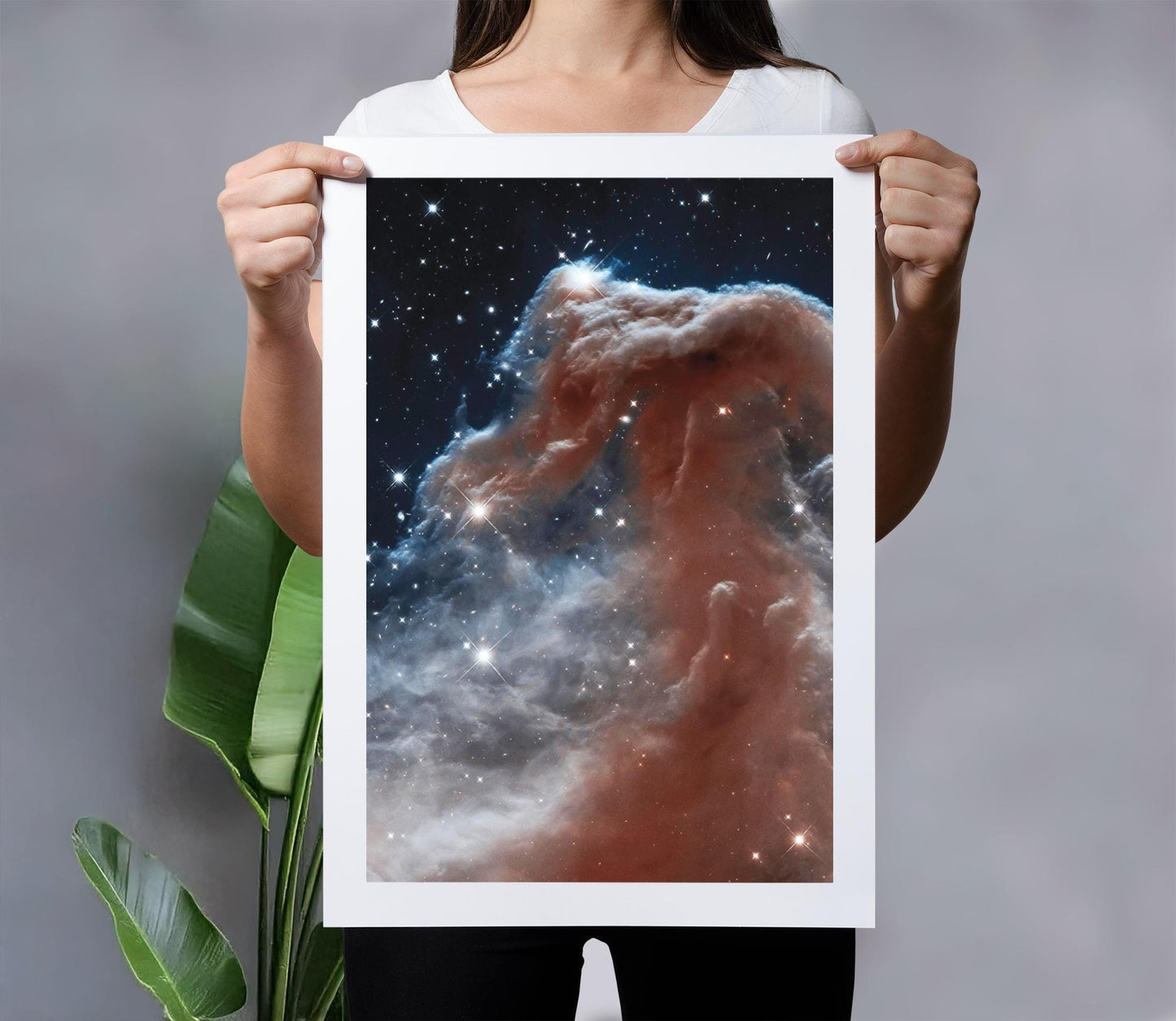Nasa Poster Horsehead Nebula | Hubble Telescope Poster | Astronomy Wall Art | Space Poster | Universe Poster | IC434 | Barnard 33